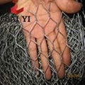 Galvanized Chicken Wire 