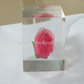 Beauty flower Acrylic /Crystal  Cube /Paperweight for decoration 