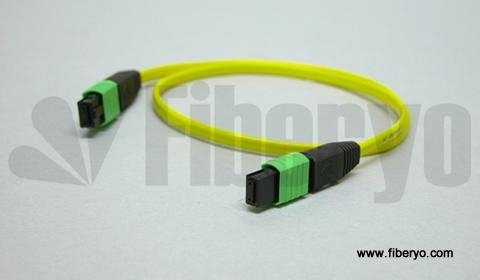 MPO-MPT Fiber Cable Assembly