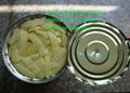 2840g canned bamboo shoot