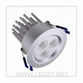 LED DOWN LIGHT HIGH POEWE 3W 1