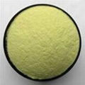黄连素（盐酸小檗碱） 1