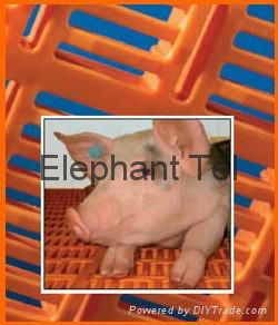Plastic Floor for Pig or Goat Farm