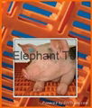 Plastic Floor for Pig or Goat Farm 1