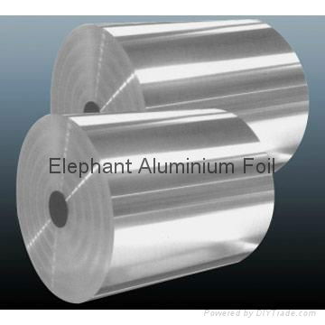 Aluminium Foil  5