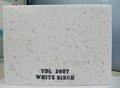 Quartz Stone Slab for Worktop/White Birch 