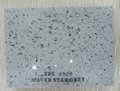 Quartz Stone Slab for Worktop/Silver Star Grey