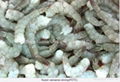 FROZEN WHITE SHRIMP PEELED DEVEINED TAIL