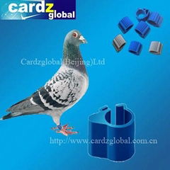 RFID ANIMAL TAG FOR PIGEON AND CHICKEN/DUCK