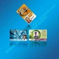 Photo ID card 1