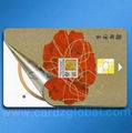 Dual Interface card--Hybrid card 1