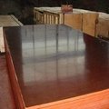 China CE certified phenolic brown film faced plywood for concrete 2