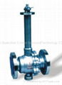 Low Temperature Valve 1