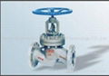 Flange Globe Valve 1