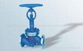 Low Temperature Globe Valve