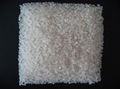 Japonica Short Grain Rice