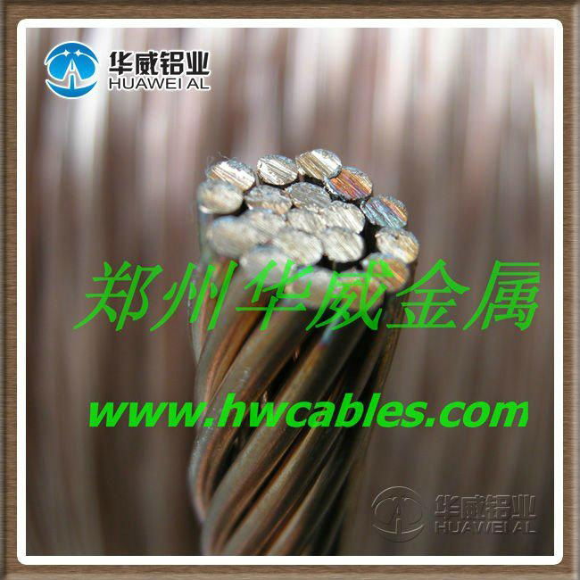 Soft  Bare Copper Conductor 3