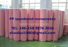 PP nonwoven fabric for shopping bag