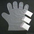 Disposable transparent plastic pe glove 4