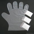 glove in  pairs 5