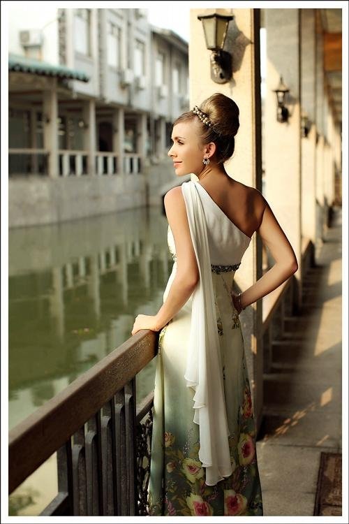 2012New Doris Evening dress,printing,Silk chiffon,10pcs/set,wholesale and retail 3