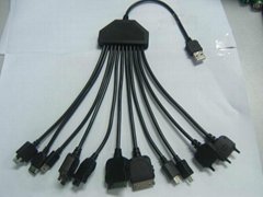 10 in 1 data cable