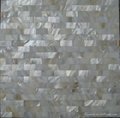 Shell mosaic 2
