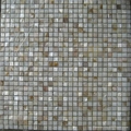 Shell mosaic 4