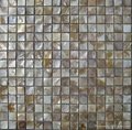Shell mosaic 5