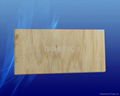 Non-formaldehyde Plywood--Hickory 2