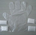 Disposable Folded Pe Glove 3