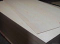 commercial plywood for furniture plywood for packing