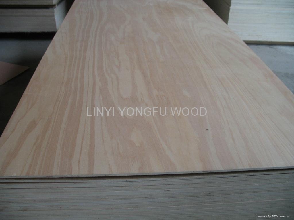 commercial plywood for furniture plywood for packing 3