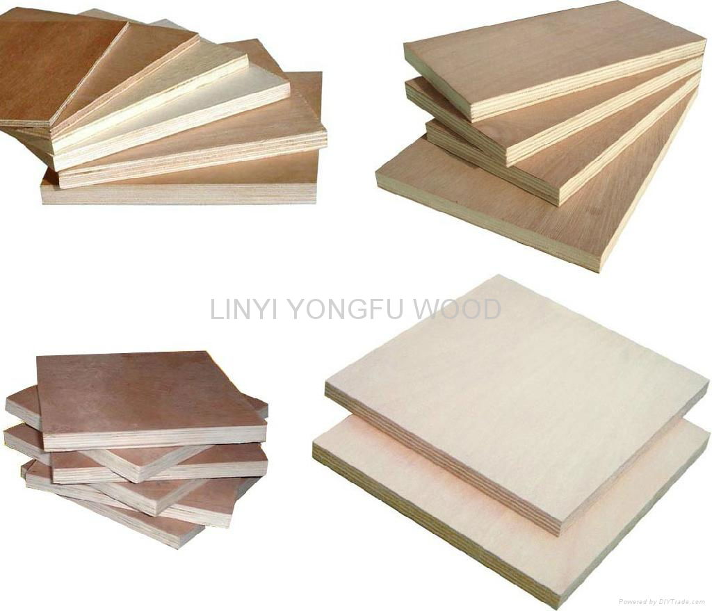 commercial plywood for furniture plywood for packing 4