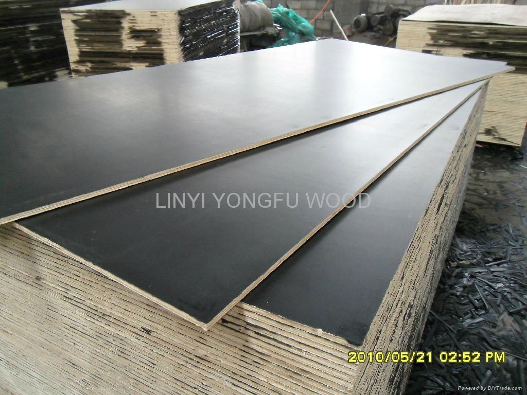 commercial plywood for furniture plywood for packing 5