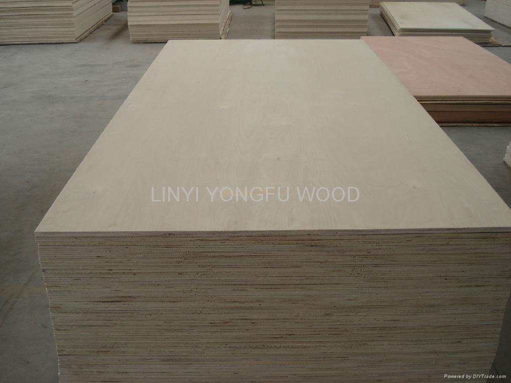 red hardwood plywood poplar plywood oak plywood 3