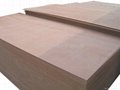 door size plywood door skin plywood for