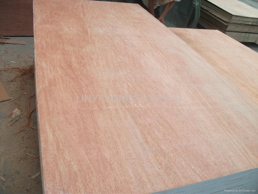 door size plywood door skin plywood for doors 3