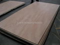 door size plywood door skin plywood for doors 5