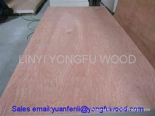 red hardwood plywood poplar plywood oak plywood