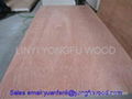 red hardwood plywood poplar plywood oak plywood