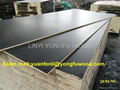 film faced plywood for construction shuttering plywood 1