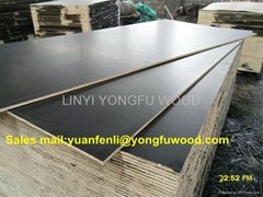 film faced plywood for construction shuttering plywood