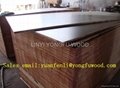 18mm plywood phenolic plywood cheap