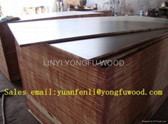 18mm plywood phenolic plywood cheap