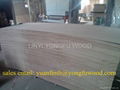 3mm plywood 6mm plywood interior plywood indoor plywood 1