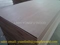 cabinet grade plywood ply wood ply board