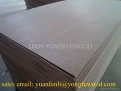 cabinet grade plywood ply wood ply board marine ply