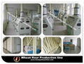 complete wheat flour mill plant,wheat grinding machine price  1