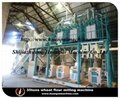complete wheat flour mill plant,wheat grinding machine price  2